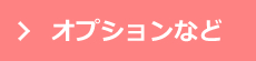 オプションなど